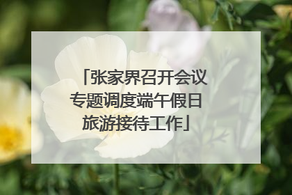 张家界召开会议专题调度端午假日旅游接待工作